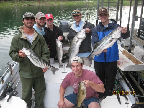 Nice Striped Bass